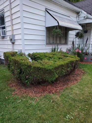 Rochester landscaping