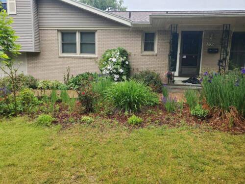 Rochester landscaping